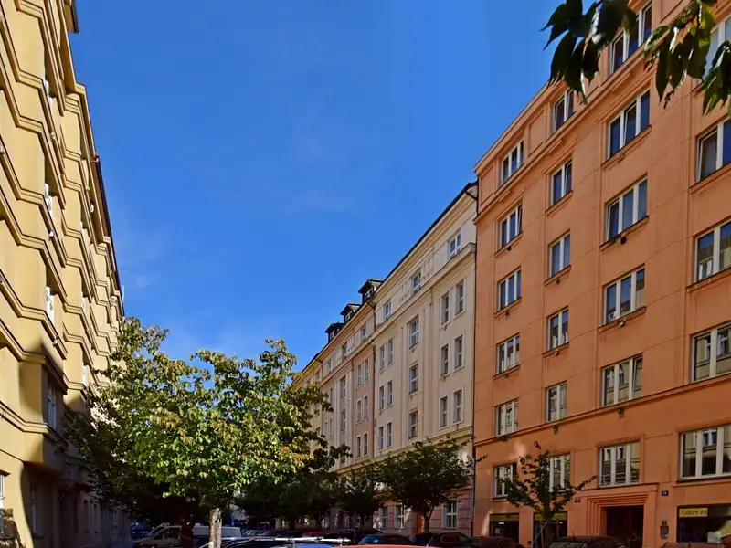 Pronájem bytu 1+1, 66 m², Praha 3, Praha